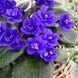 Cajun's McKenna Trail t7 фото 7
