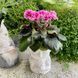 НК-Натхнення (32-80) m260 фото 11