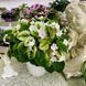 Fancy Trail White t24 фото 2