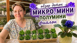 1 Огляд діток міні obz3 фото