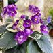 Grog m25 фото 6