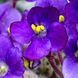 Grog m25 фото 17