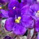Grog m25 фото 20