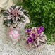 Hector m29 фото 8