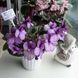 Maas Angelina m56d фото 4